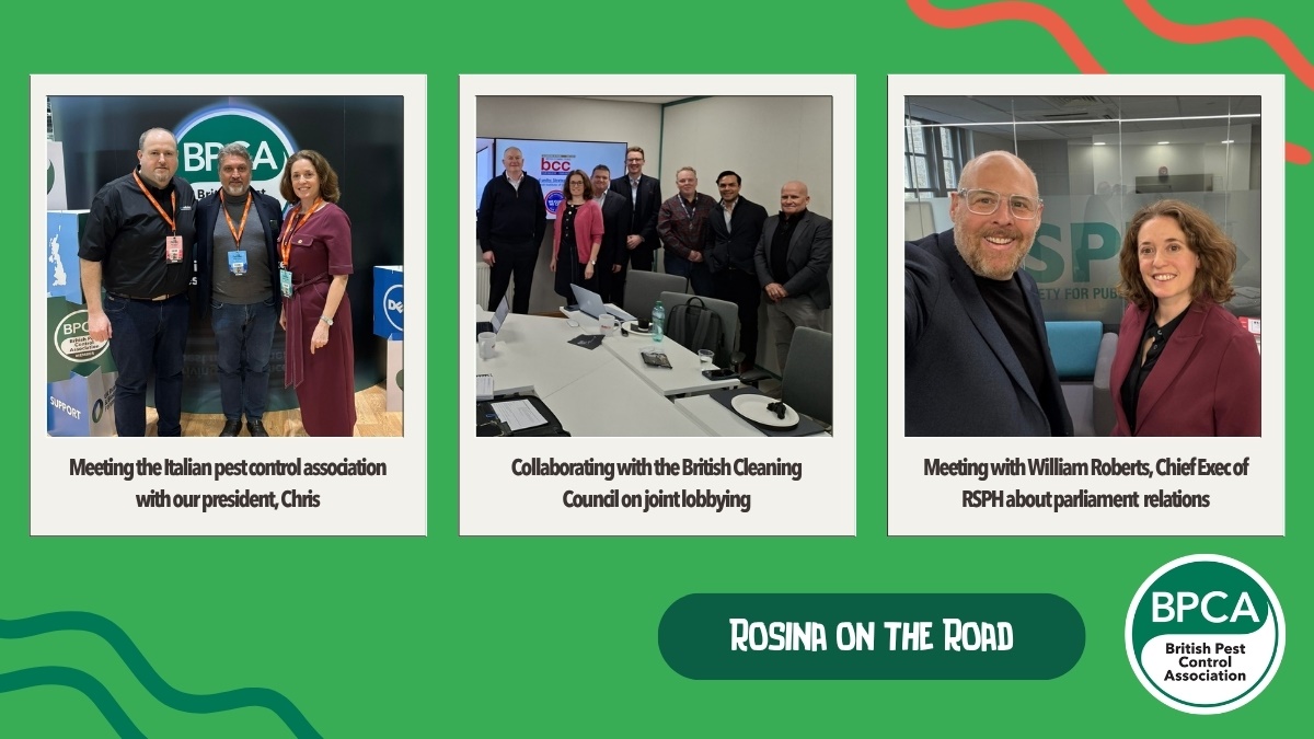 RosinaontheRoad1 RosinaontheRoad1